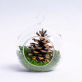 Glass Christmas Ball - Pinecone and Reindeer Moss