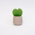 Joey Ceramic Plant Pot – Soft Minimalist Indoor Planter