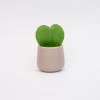 Joey Ceramic Plant Pot – Soft Minimalist Indoor Planter