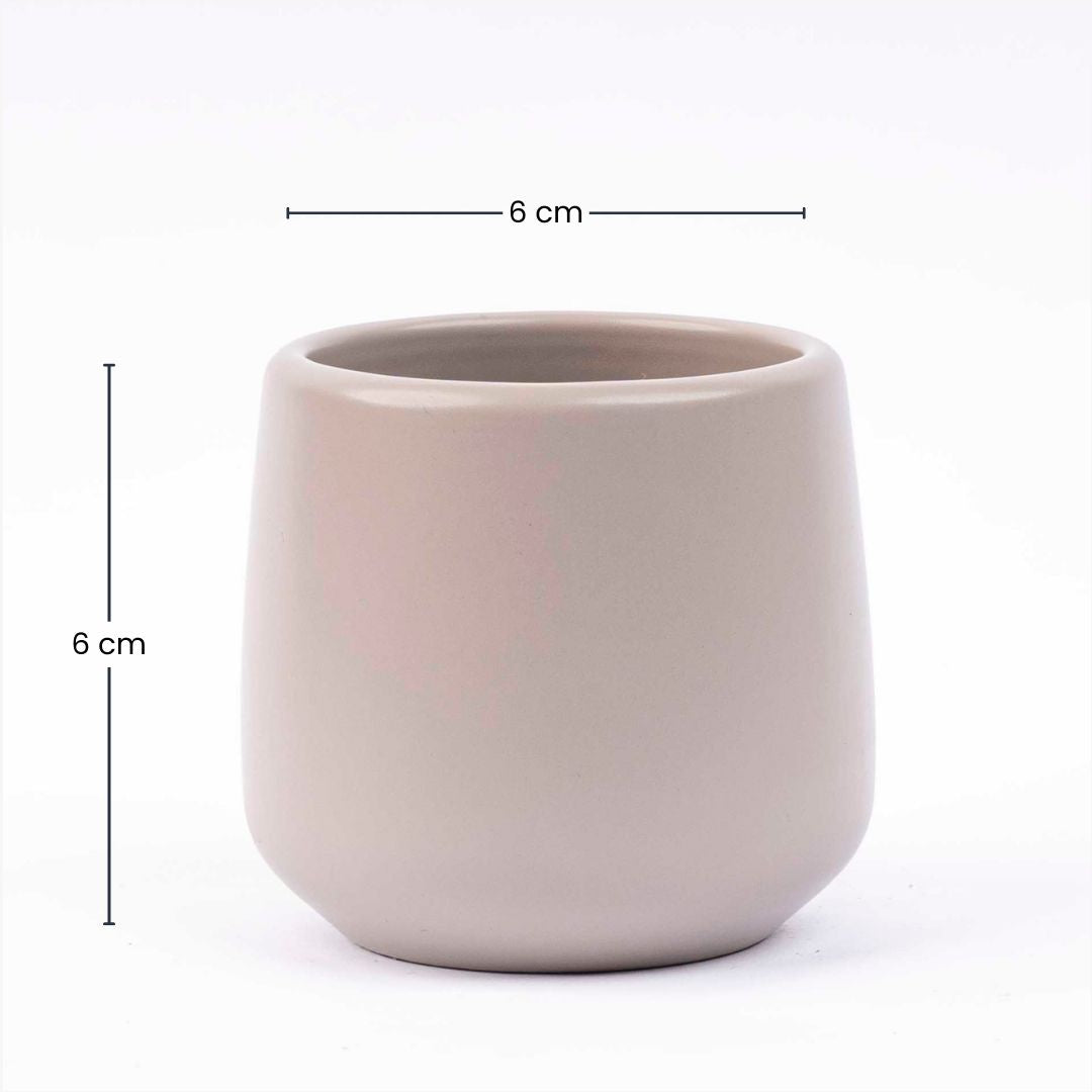 Joey Ceramic Plant Pot – Soft Minimalist Indoor Planter