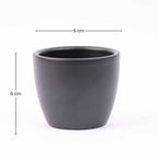 Anthracite Matte - Mini Plant Pot - Boule Pot Anthracite - Ø 6 cm ↑ 6 cm