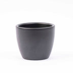 Mini Christmas tree set 6 - includes Boule Anthracite pot