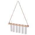 Test Tube Hanger M – Stylish Plant Propagation Holder