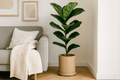 Arcadia Plant Pot – Modern Indoor Planter with Drainage