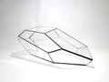 Geometric Terrarium - Plantasia - Vivarium ↑ 50 x 25 x 17,5 cm (LxWxH) - Glass
