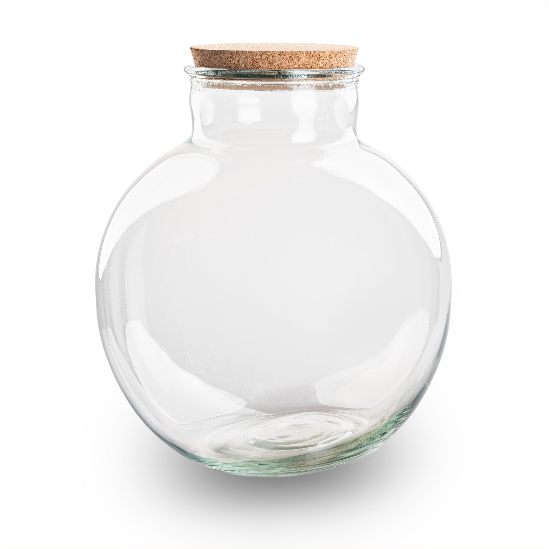 Terrarium bottle 'Bolder Bob' - Incl. (LED) cork - Closed terrarium Ø 30 cm ↑ 31 cm