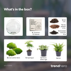 Dome XL - Two-part round glass terrarium - Bottle garden DIY kit - Ø 28 cm ↑ 28 cm