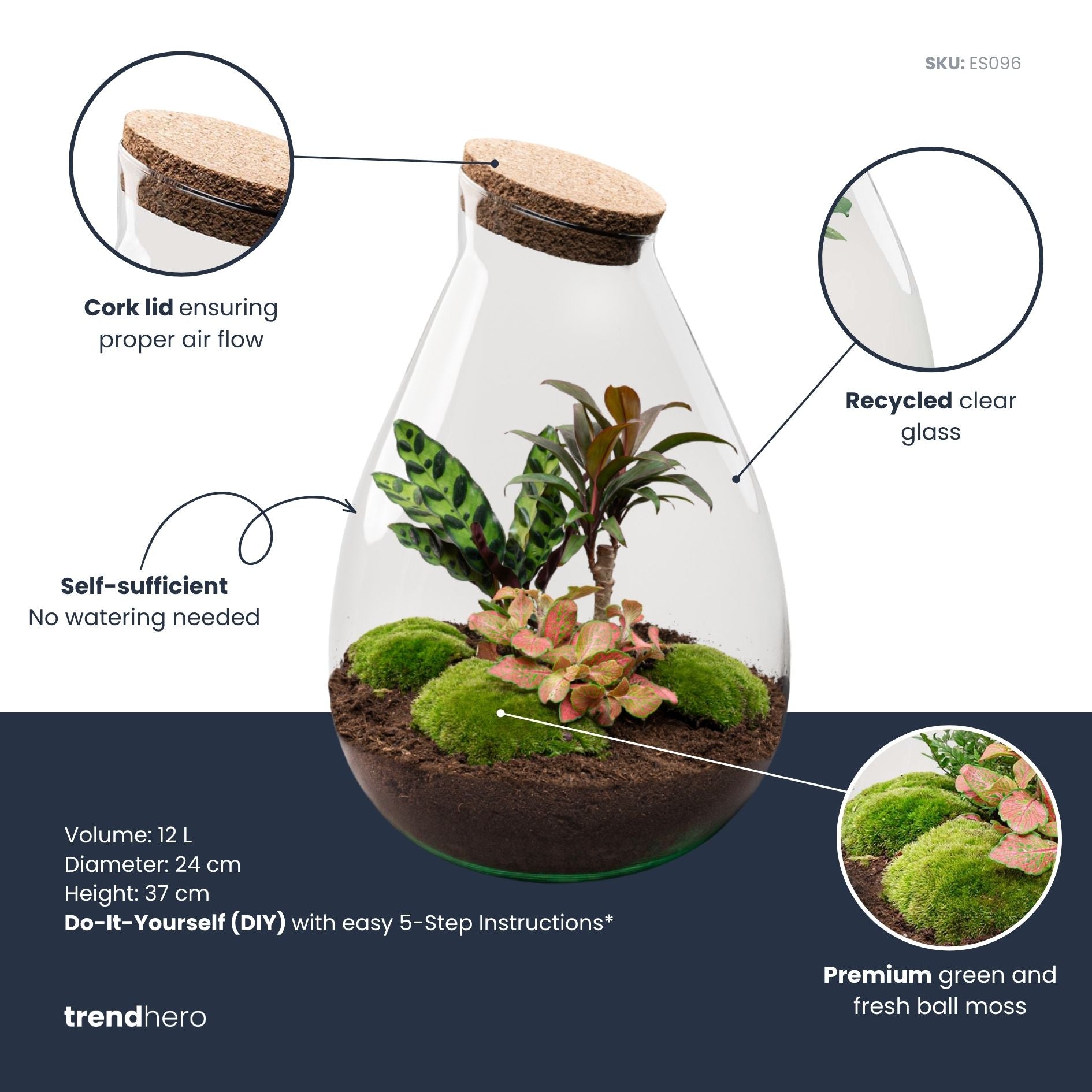 Drop XL Palm - Terrarium with cork - Bottle garden DIY kit – Ø 24 cm ↑ 37 cm