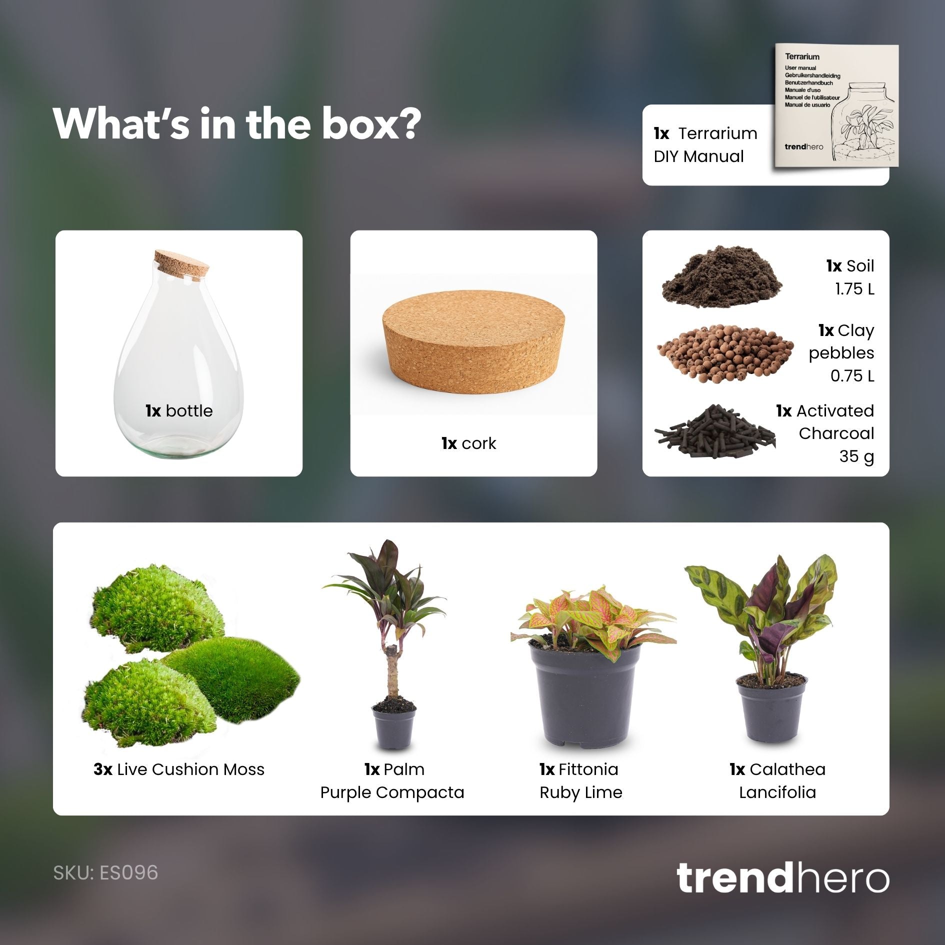 Drop XL Palm - Terrarium with cork - Bottle garden DIY kit – Ø 24 cm ↑ 37 cm
