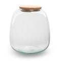 Terrarium bottle ‘Emma Mini’ with cork - Closed terrarium Ø 19 cm ↑ 20 cm