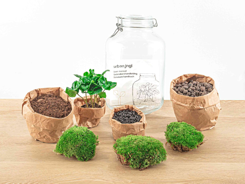 Jar Terrarium Kit - Bottle Garden - ↑ 28 cm