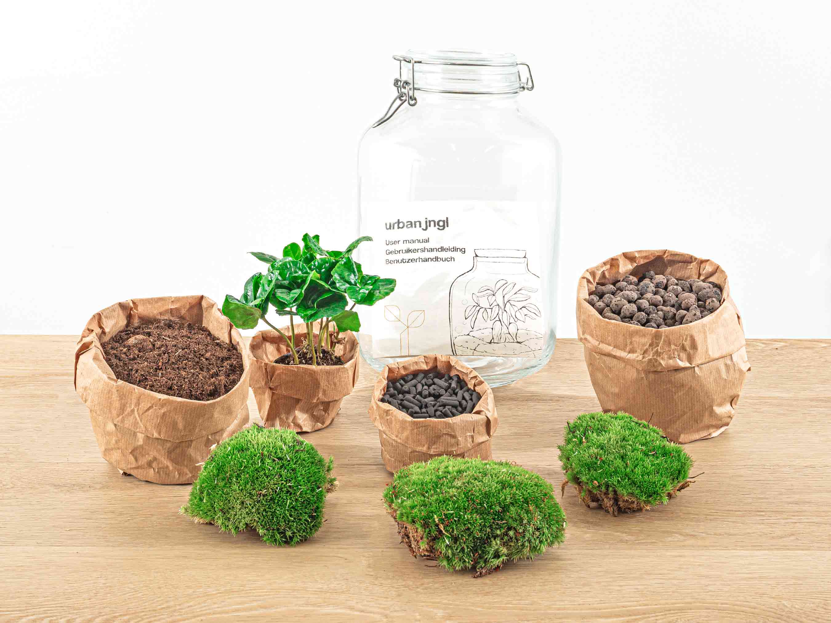 Jar Terrarium Kit - Bottle Garden - ↑ 28 cm
