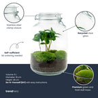 JAR - Terrarium Weckpot - Bottle garden DIY kit - Ø 18 cm ↑ 28 cm