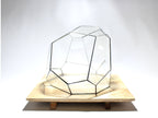 Geometric Terrarium - Torno - Vivarium - ↑ 28 x 26 x 24 cm (LxWxH) - Glass