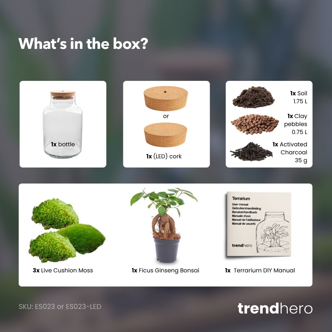 Milky Bonsai - Terrarium with light - Bottle garden DIY kit - Ø 21 cm ↑ 30 cm