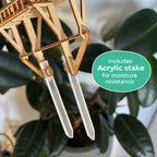 Tiny Treehouses – Tropical Lookout DIY Model Kit with LED Lights