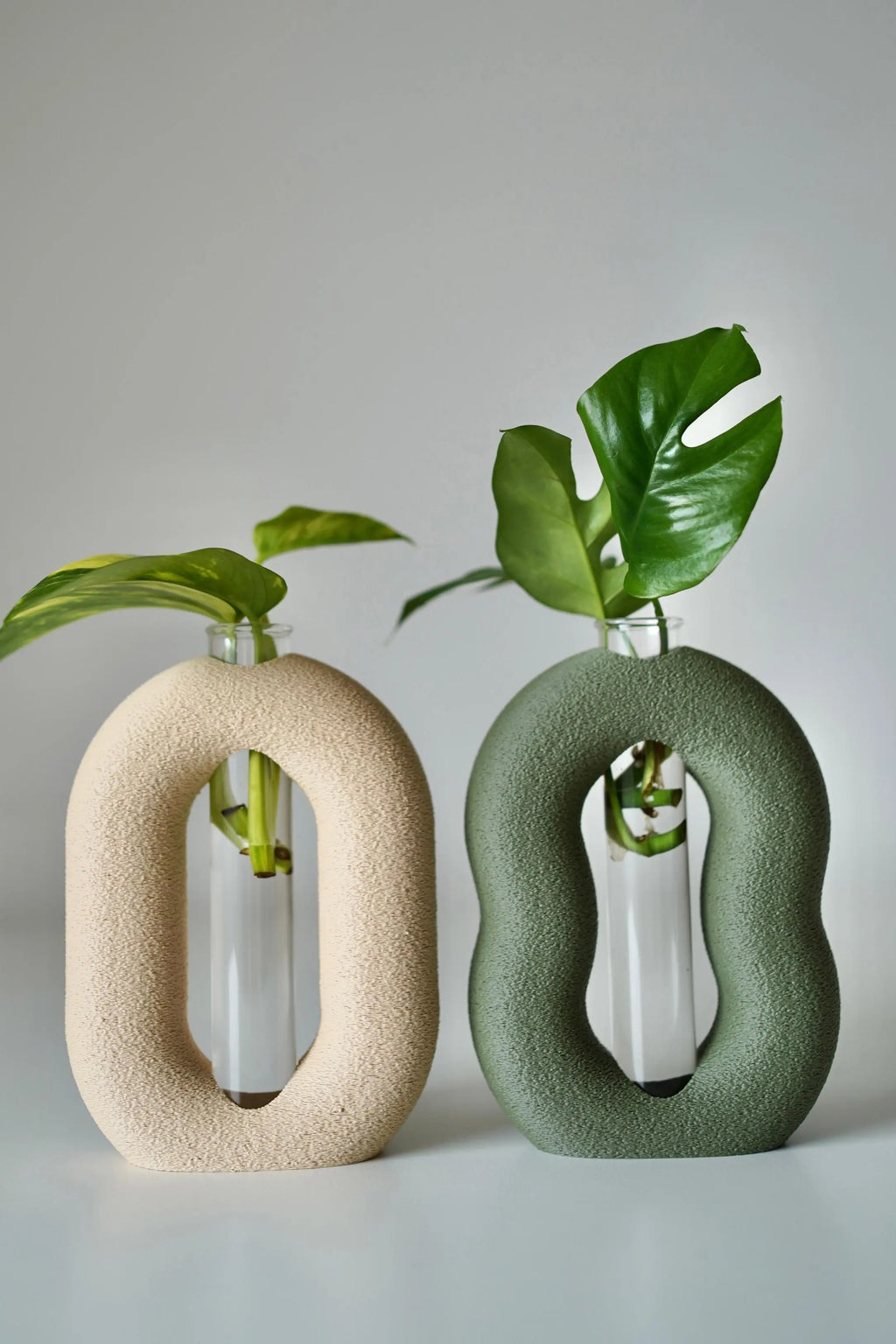 Terraloop Propagation Vase – Modern Plant Cutting Holder (Set of 2)