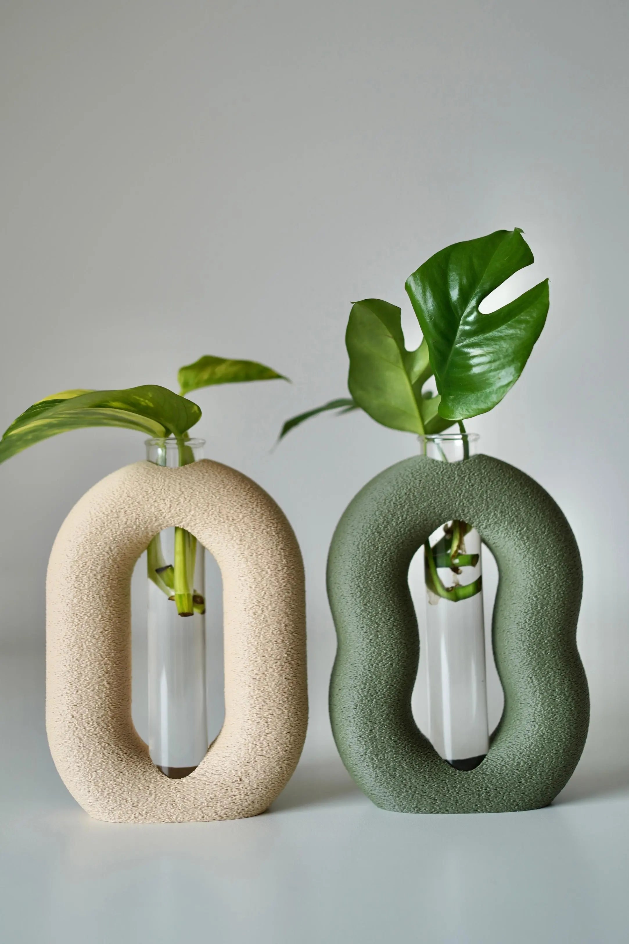 Terraloop Propagation Vase – Modern Plant Cutting Holder (Set of 2)