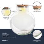 Terrarium bottle 'Bolder Bob' - Incl. (LED) cork - Closed terrarium Ø 30 cm ↑ 31 cm