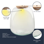 Terrarium bottle ‘Emma' - Incl. LED cork - Closed terrarium Ø 23 cm ↑ 25 cm