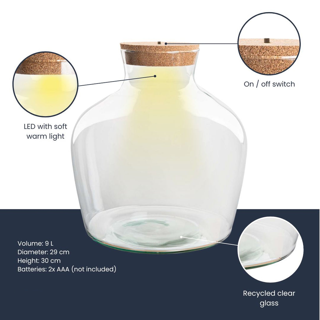 Terrarium bottle 'Fat Joe' - Incl. LED cork - Closed terrarium  Ø 29 cm ↑ 30 cm
