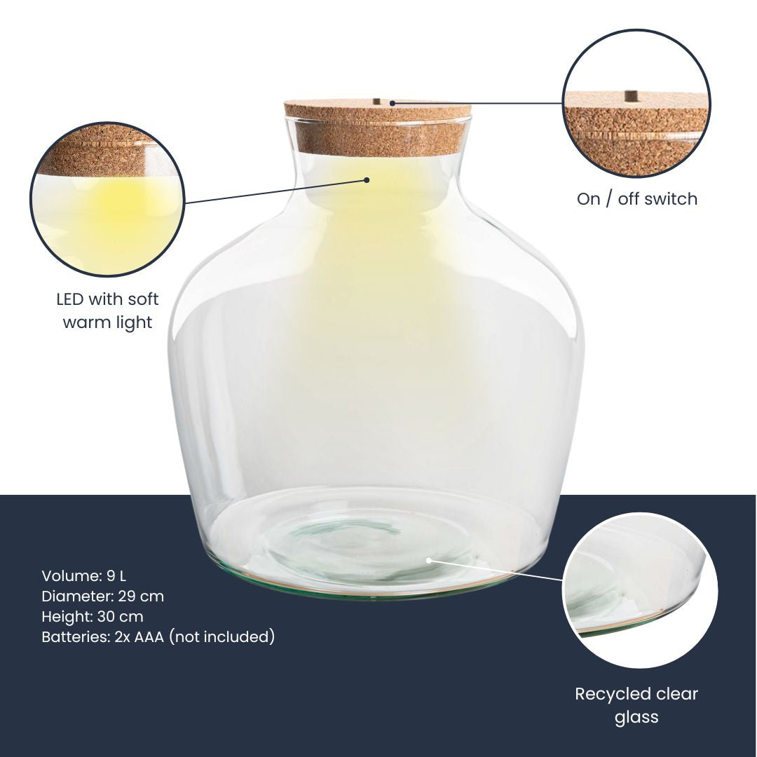Terrarium bottle 'Fat Joe' - Incl. LED cork - Closed terrarium  Ø 29 cm ↑ 30 cm