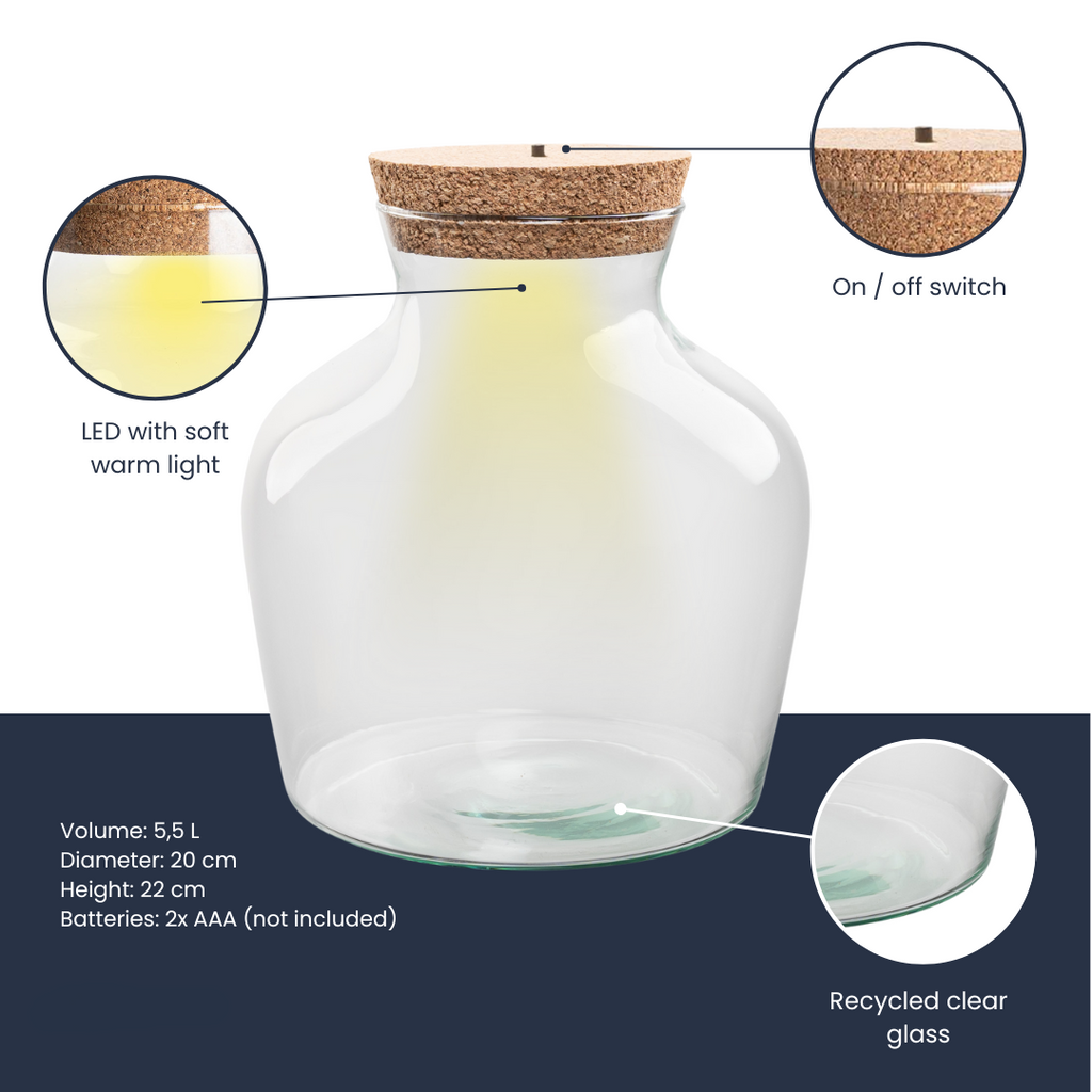 Terrarium bottle 'Little Joe' - Incl. LED cork - Closed terrarium Ø 20 cm ↑ 22 cm
