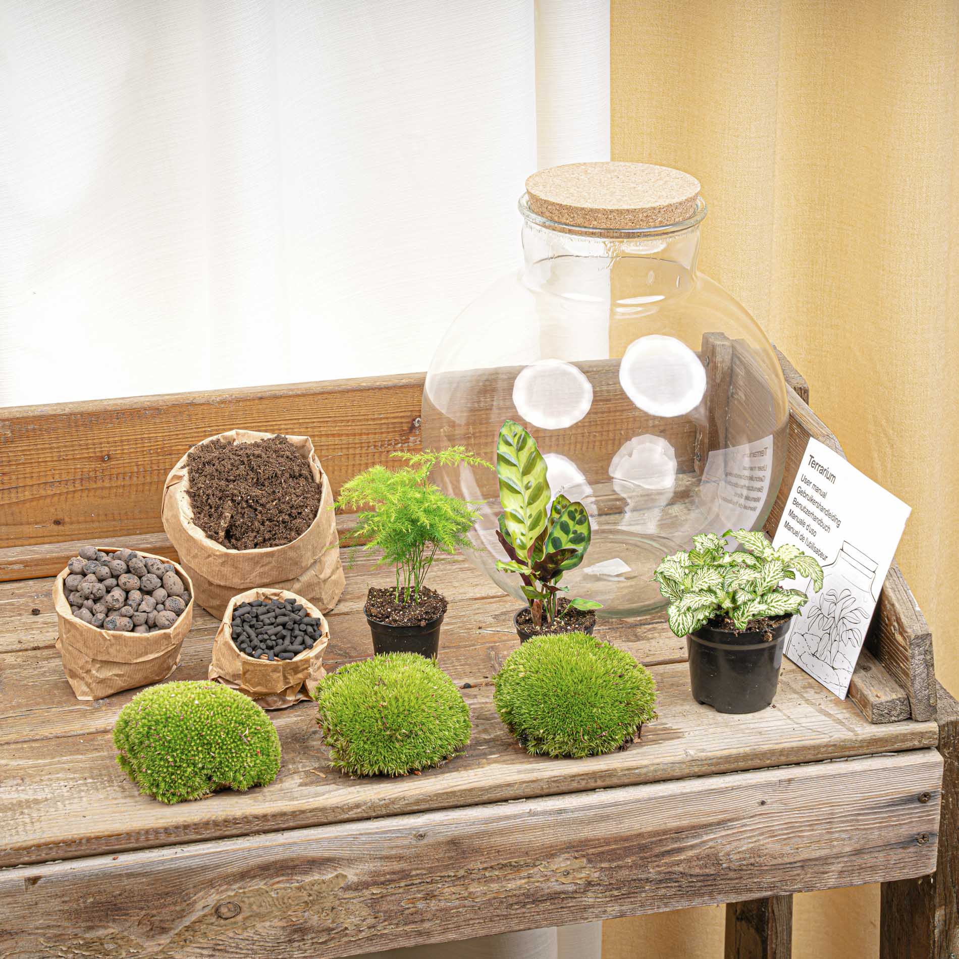Bolder Bob - Terrarium with light - Bottle garden DIY kit - Ø 31 cm ↑ 30 cm