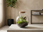 Bolder Bob - Terrarium with light - Bottle garden DIY kit - Ø 31 cm ↑ 30 cm