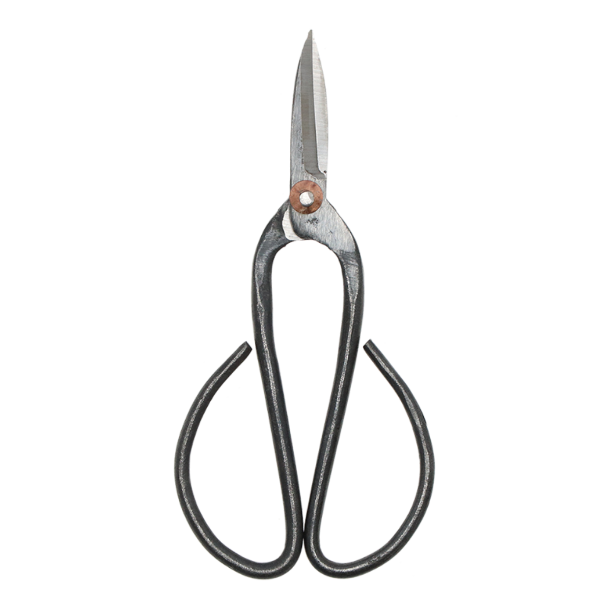 Bonsai shears L 19 cm - Precision Pruning tool