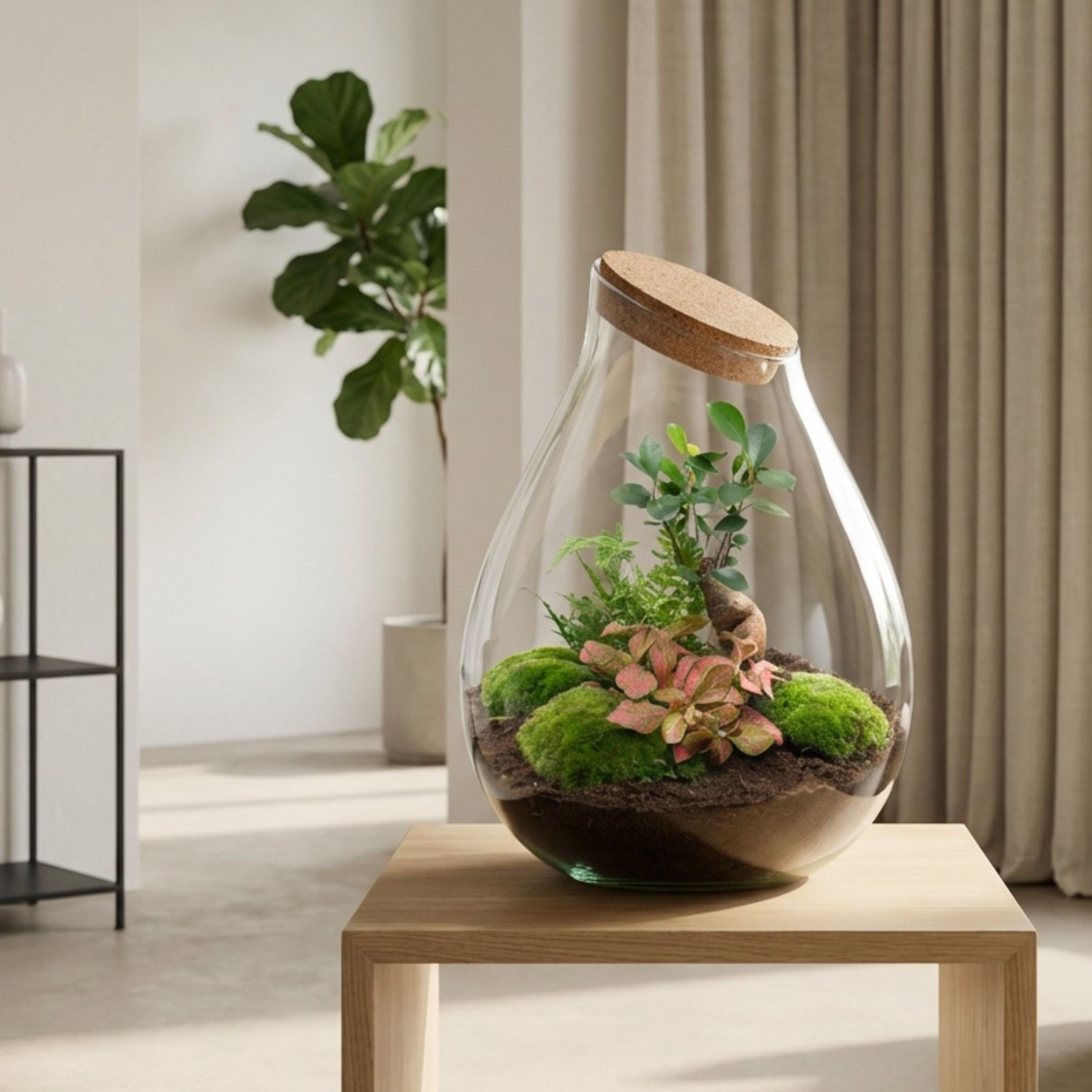 Drop XXL Bonsai - Terrarium with cork - Bottle garden DIY kit - Ø 34 cm ↑ 43 cm