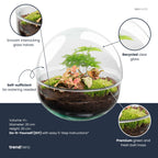 Dome Red - Two-part round glass terrarium - Bottle garden DIY kit - Ø 20 cm ↑ 20 cm