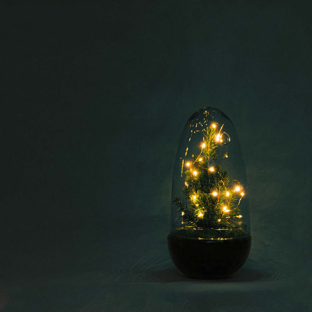 Egg - Terrarium - Two-part glass dome - Bottle garden DIY kit - Ø 12 cm ↑ 25 cm