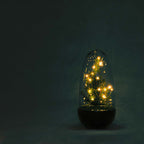 Egg - Terrarium - Two-part glass dome - Bottle garden DIY kit - Ø 12 cm ↑ 25 cm