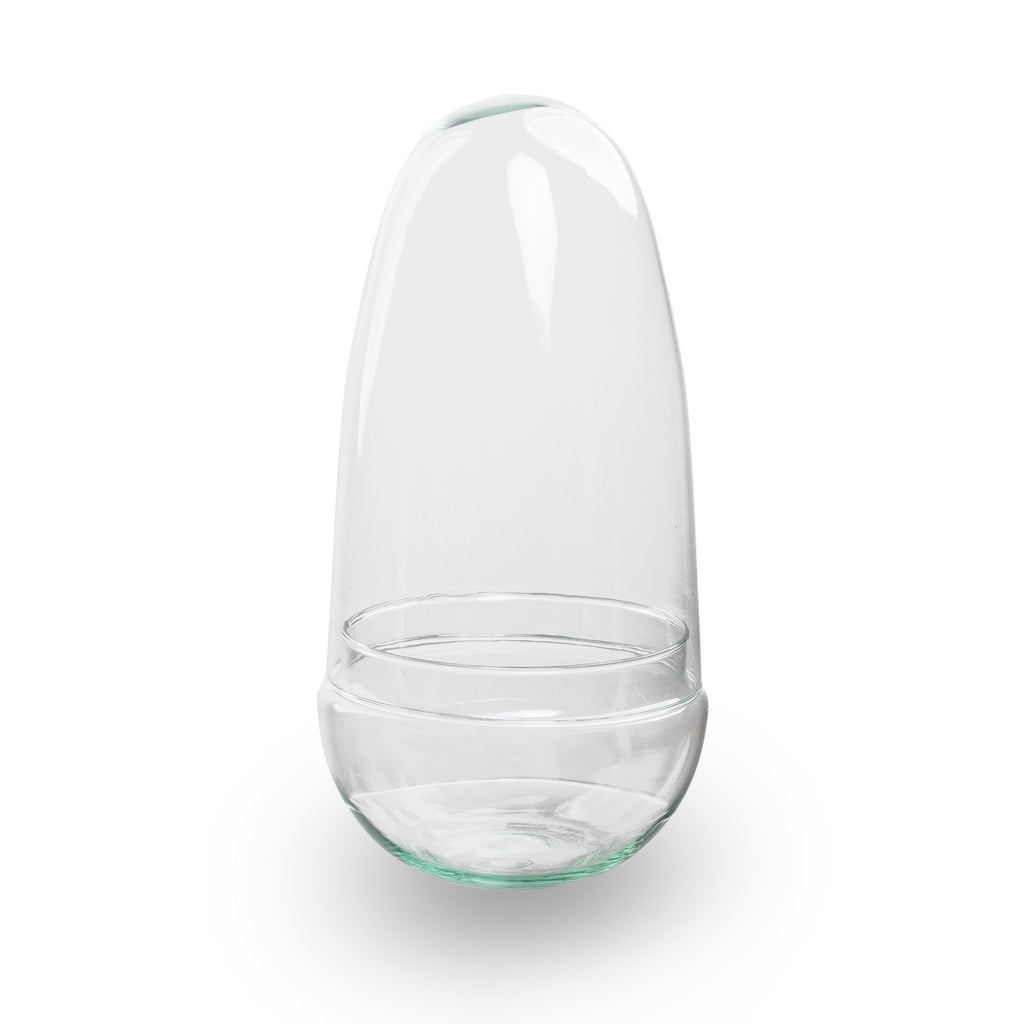 Egg - Terrarium - Two-part glass dome - Bottle garden DIY kit - Ø 12 cm ↑ 25 cm