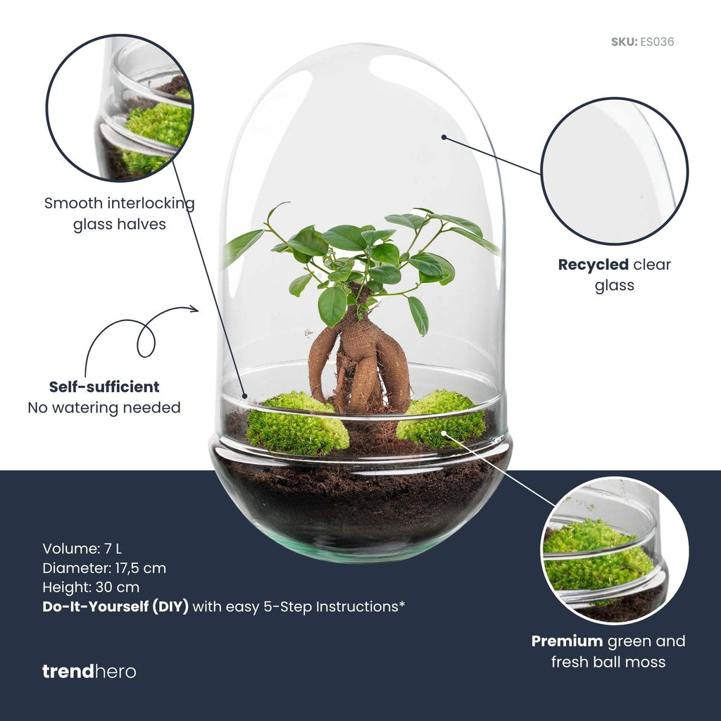 Egg XL Bonsai - Terrarium - Two-part glass dome - Bottle garden DIY kit - Ø 17.5 cm ↑ 30 cm