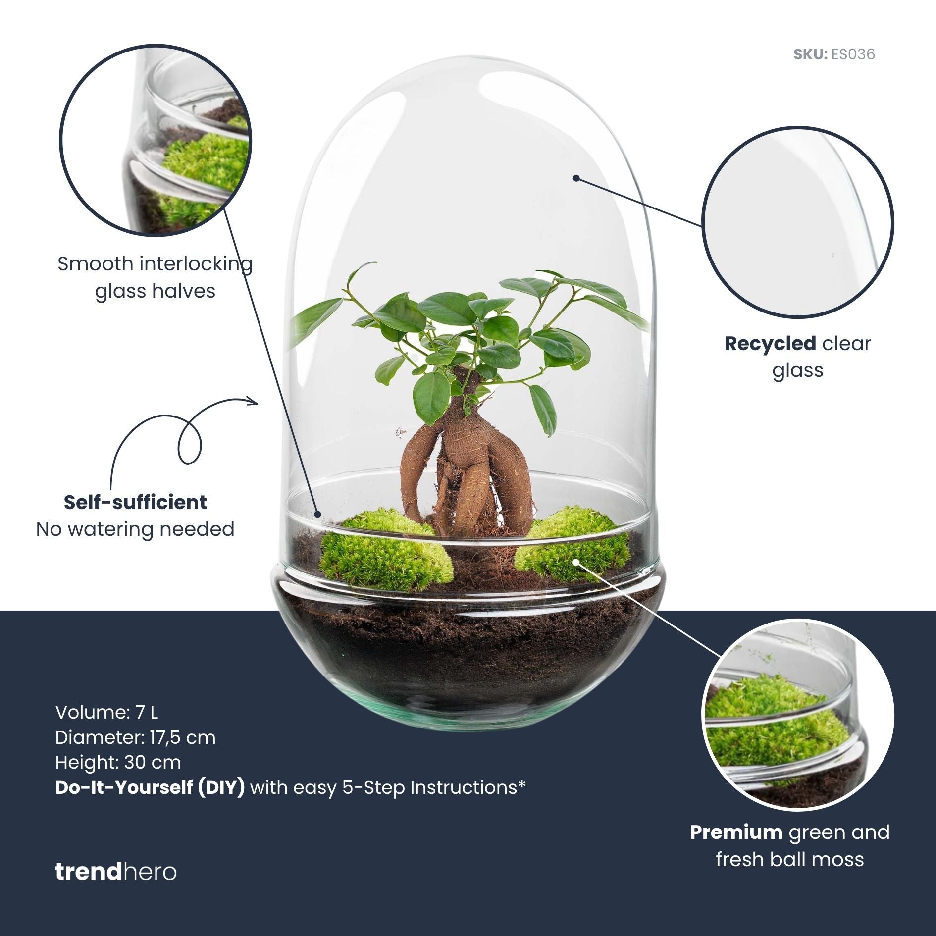 Egg XL Bonsai - Terrarium - Two-part glass dome - Bottle garden DIY kit - Ø 17.5 cm ↑ 30 cm