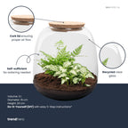 Emma Mini - Terrarium with cork - Bottle garden DIY kit - Ø 19 cm ↑ 20 cm