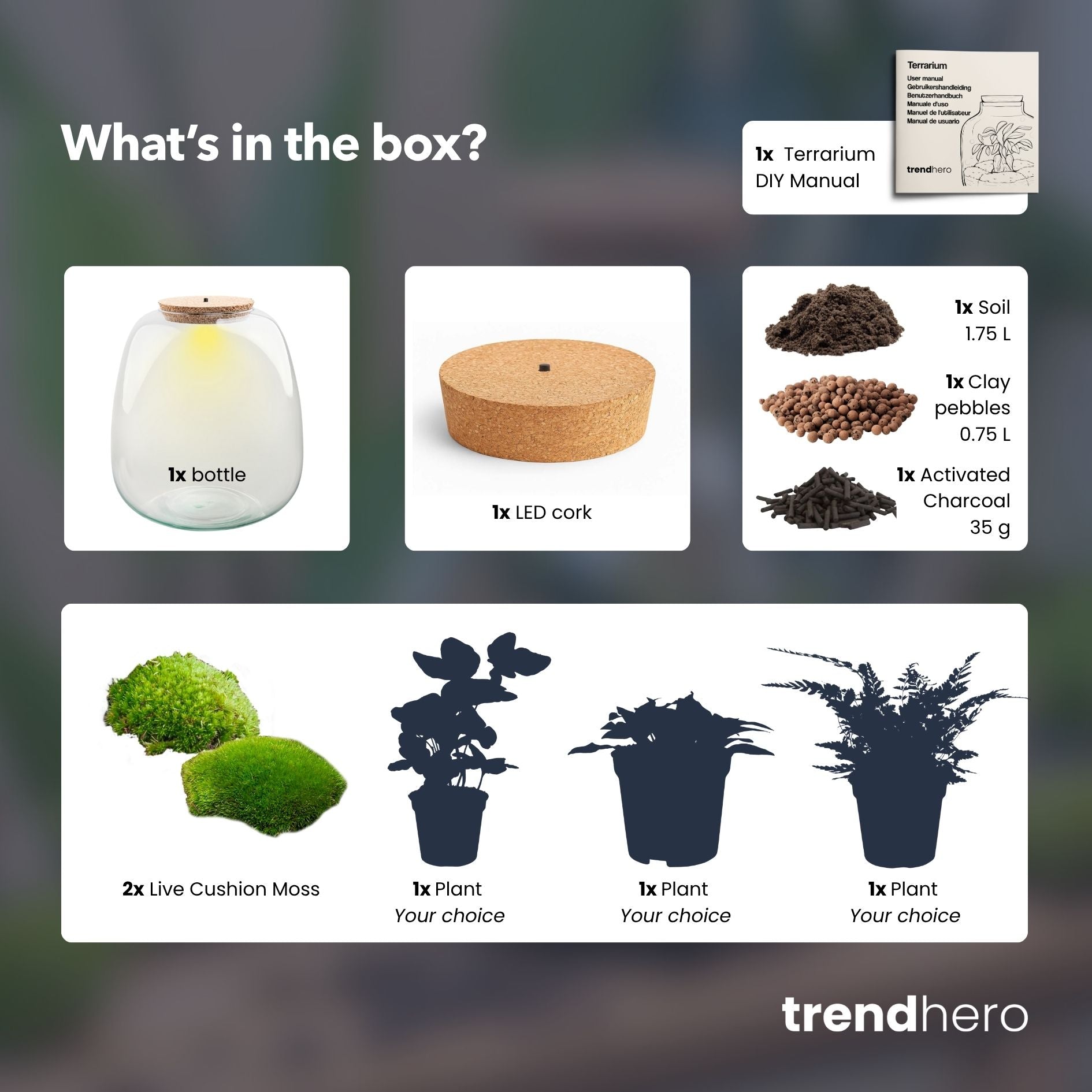 Emma - Terrarium with light - Bottle garden DIY kit - Ø 23 cm ↑ 25 cm