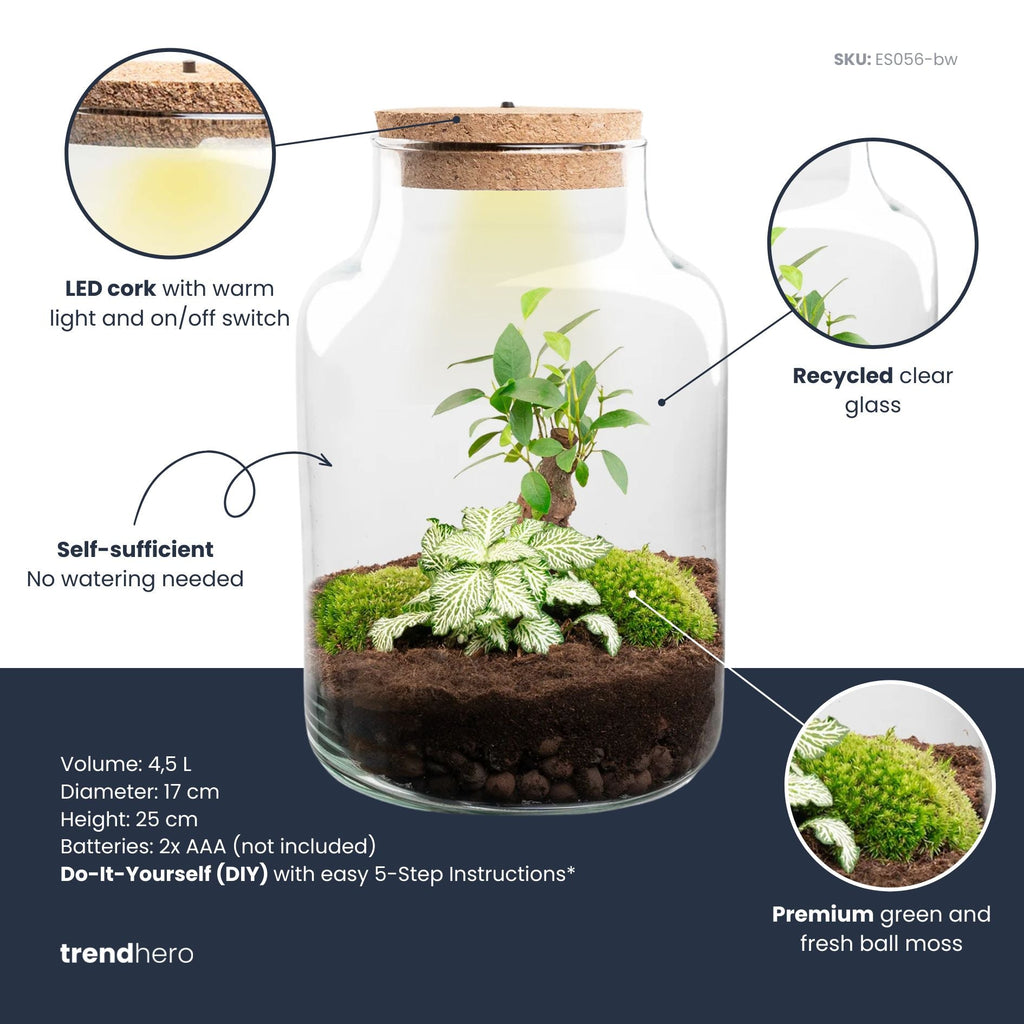 Little Milky - Terrarium with light - Bottle garden DIY kit - Ø 17 cm ↑ 25 cm