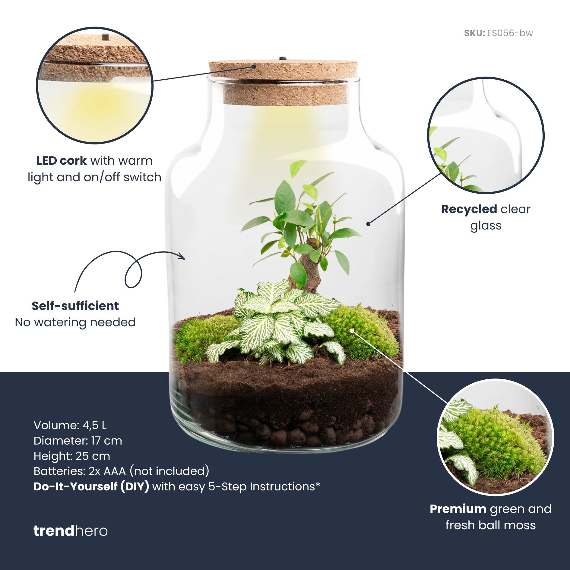 Little Milky - Terrarium with light - Bottle garden DIY kit - Ø 17 cm ↑ 25 cm
