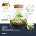 Little Joe - Terrarium with light - Bottle garden DIY kit - Ø 20 cm ↑ 22 cm