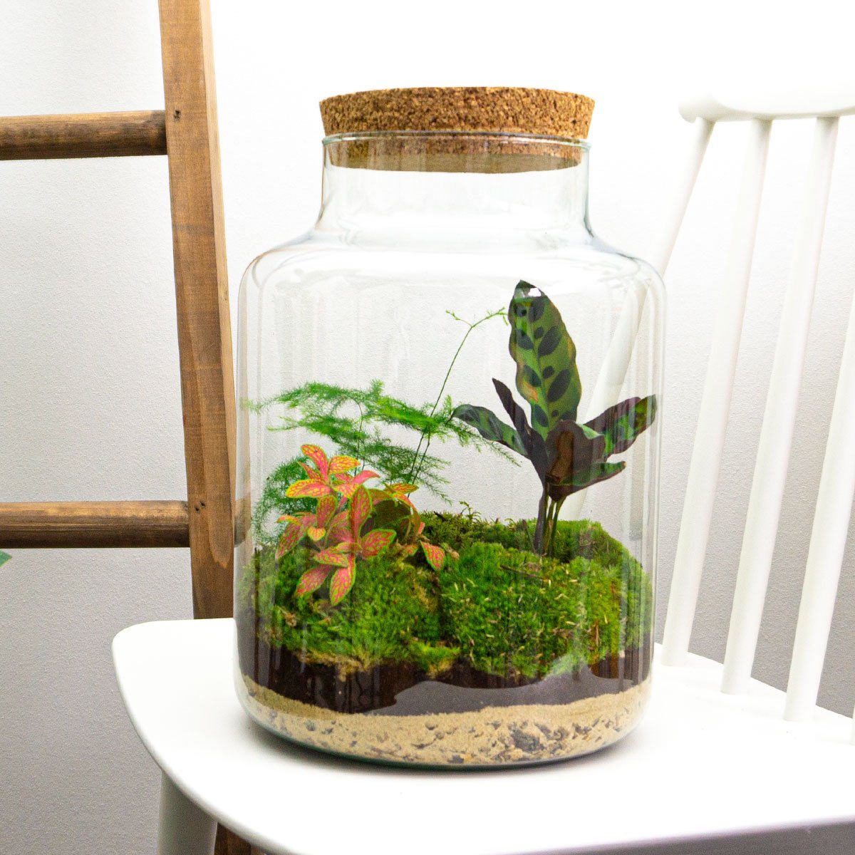 Milky - Terrarium with light - Bottle garden DIY kit - Ø 21 cm ↑ 30 cm