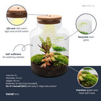 Milky - Terrarium with light - Bottle garden DIY kit - Ø 21 cm ↑ 30 cm