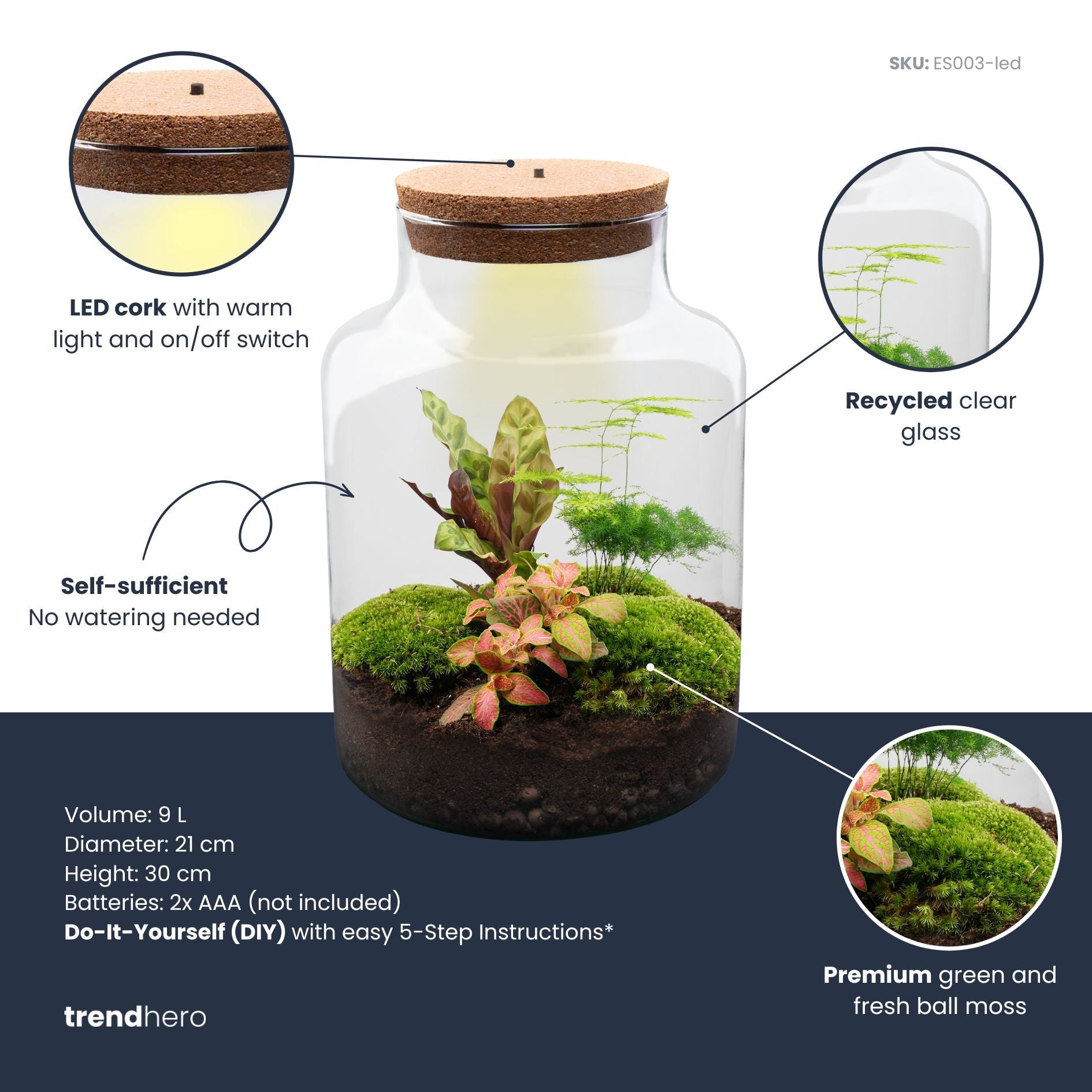 Milky - Terrarium with light - Bottle garden DIY kit - Ø 21 cm ↑ 30 cm