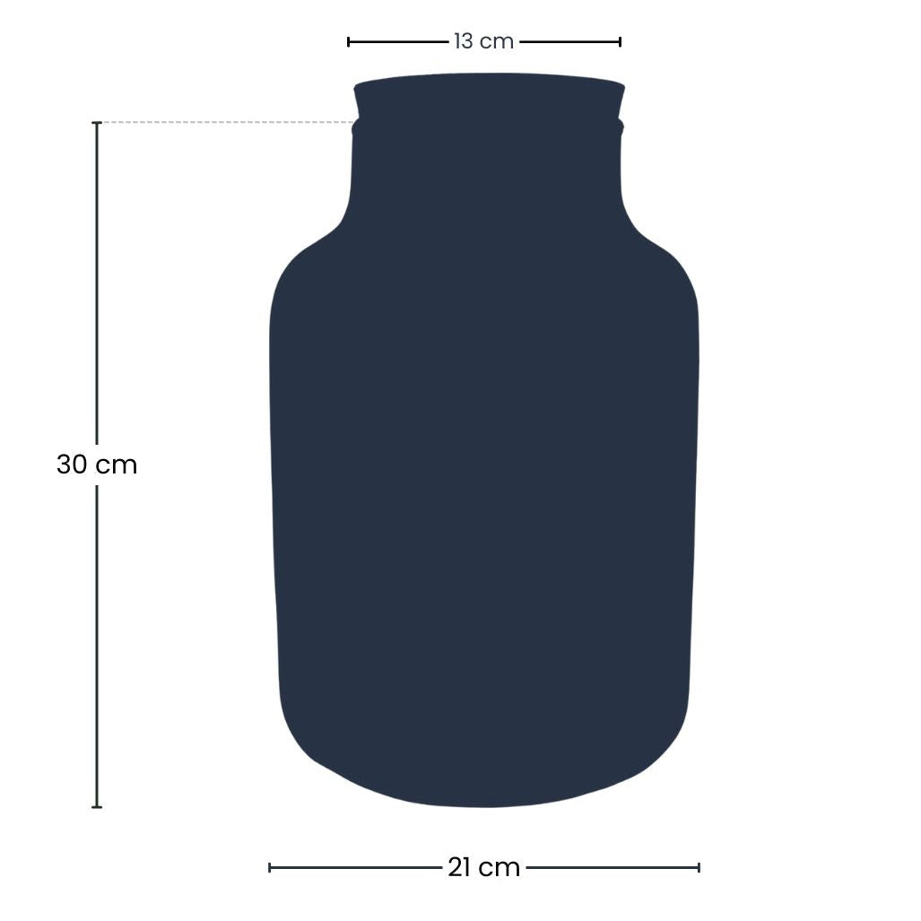 Terrarium bottle 'Milky' with LED-lighting - Closed terrarium Ø 21 cm ↑ 30 cm