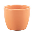 Toscana Matte Plant Pot 7 cm – Warm Ceramic Indoor Planter