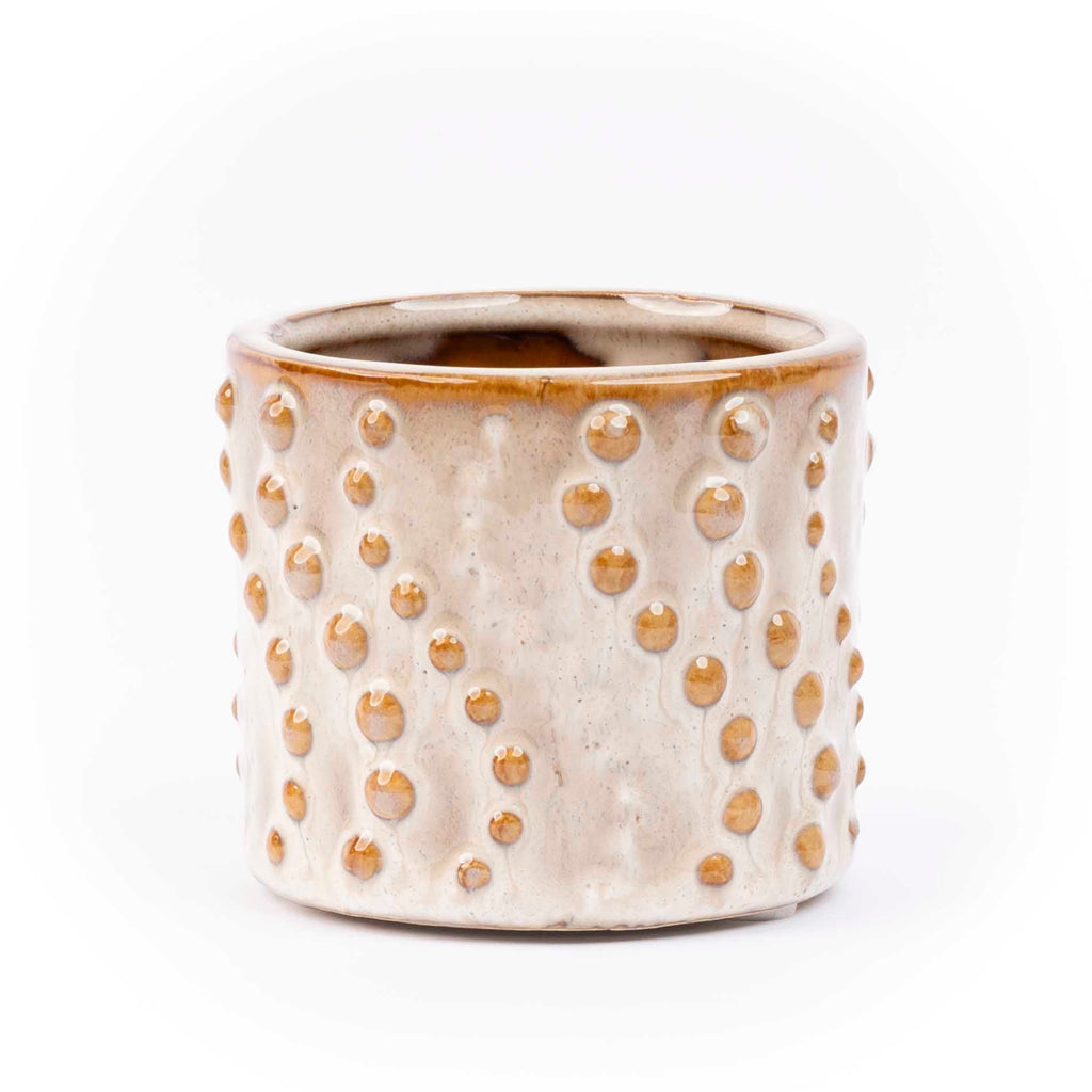 Set of 6 Ceramic Mini Plant Pots (Madrid) – Decorative Indoor Planters