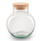 Terrarium bottle ‘Noah' with cork - Closed terrarium Ø 18.5 cm ↑ 19 cm