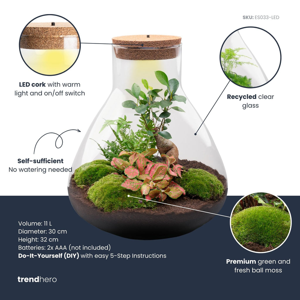 Sam XL Bonsai - Terrarium with light - Bottle garden DIY kit - Ø 30 cm ↑ 32 cm